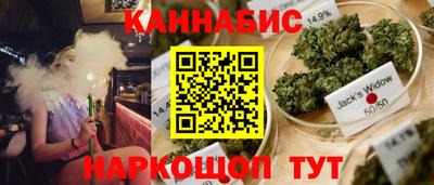 jwh Можга