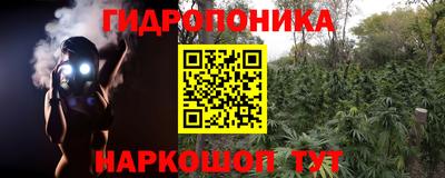 шишки Моздок