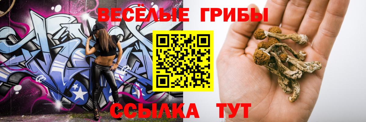 Псилоцибиновые грибы GOLDEN TEACHER  Вход с VPN  Ревда  Псилоцибиновые грибы прущие грибы 